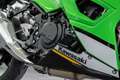 Kawasaki Ninja 500 SE ABS, WERKSGARANTIE bis 03/2029 Verde - thumbnail 14
