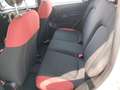 Fiat Panda 0.9 TwinAir Turbo Natural Power Easy Beige - thumbnail 9
