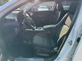 Mazda CX-30 2025 2.5 l Skyactiv 140 PS FWD Homura Weiß - thumbnail 12