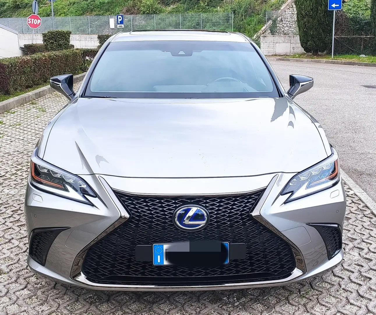 Lexus ES 300 ES300h F Sport Argento - 1