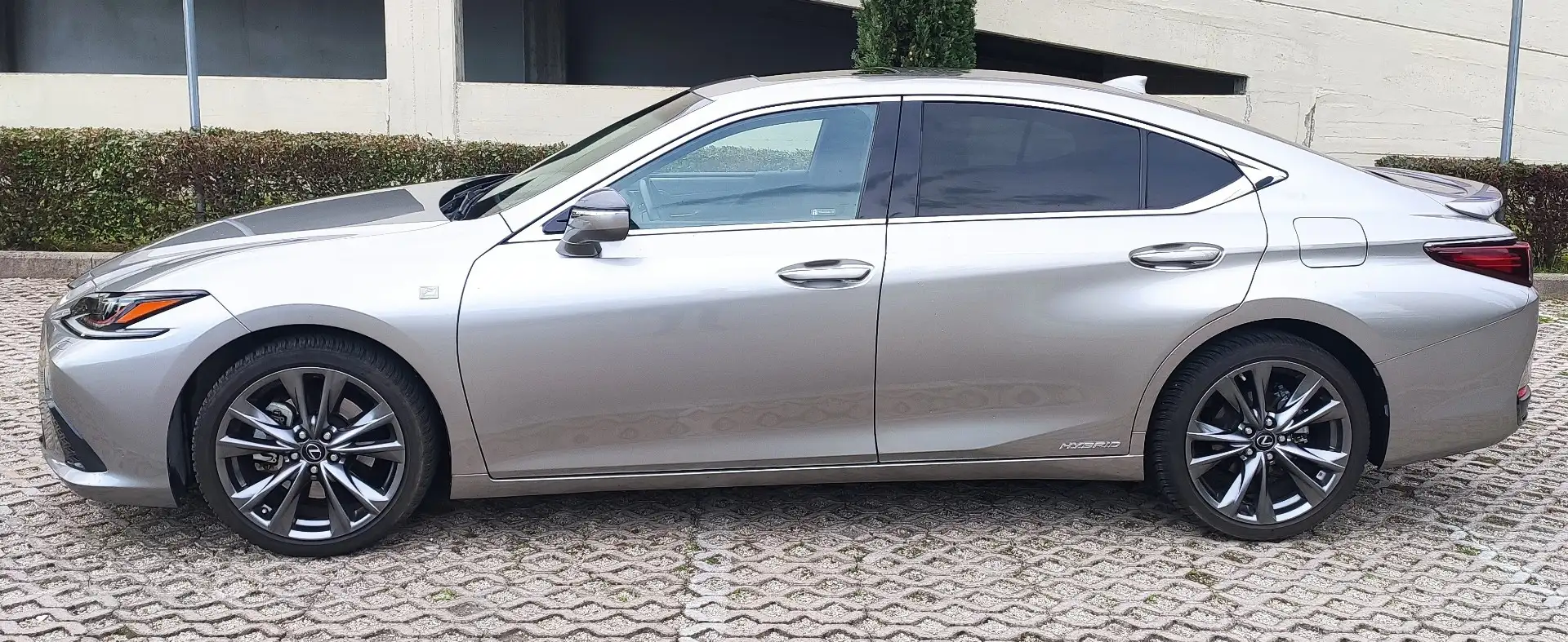 Lexus ES 300 ES300h F Sport Argento - 2