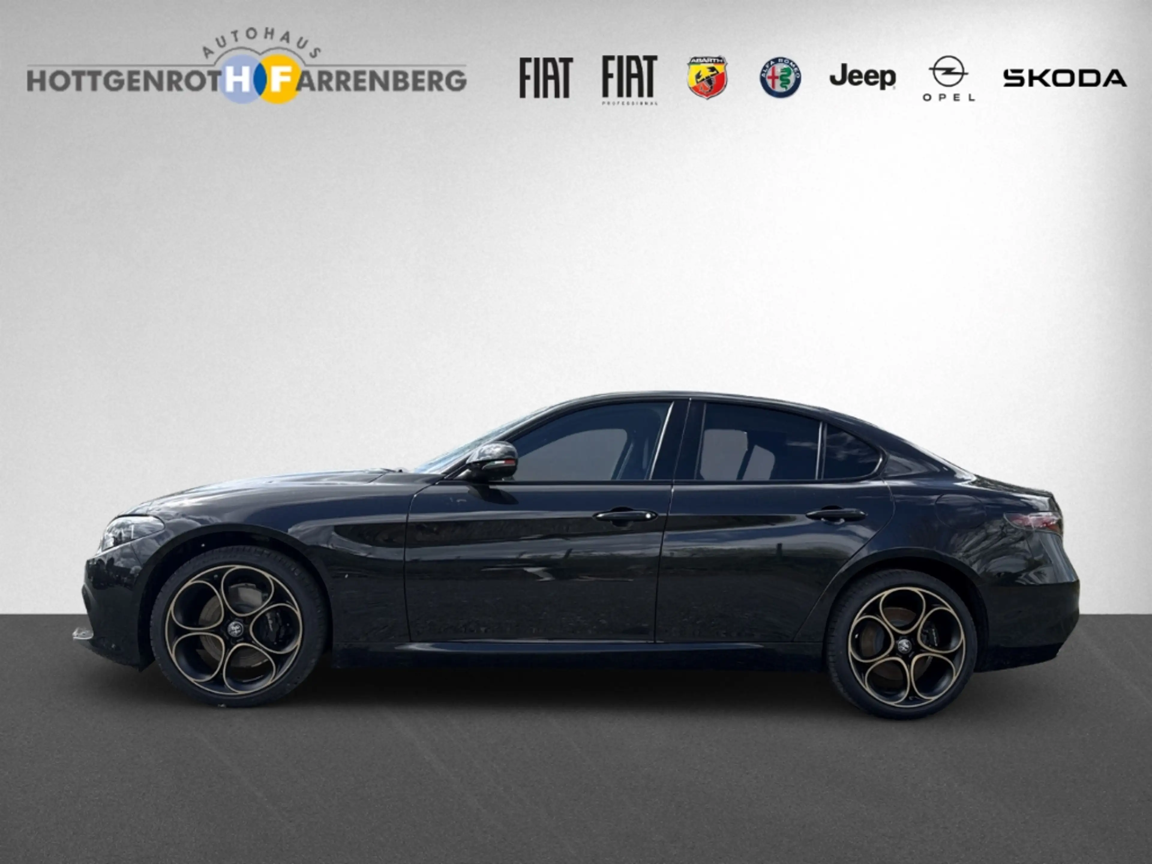 Alfa Romeo Giulia Intensa Q4 2.0 Turbo 280 PS — photo 5