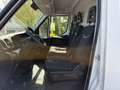 Iveco Daily Kasten HKa 35 C ... V Radstand 4100/3-SITZ Alb - thumbnail 13