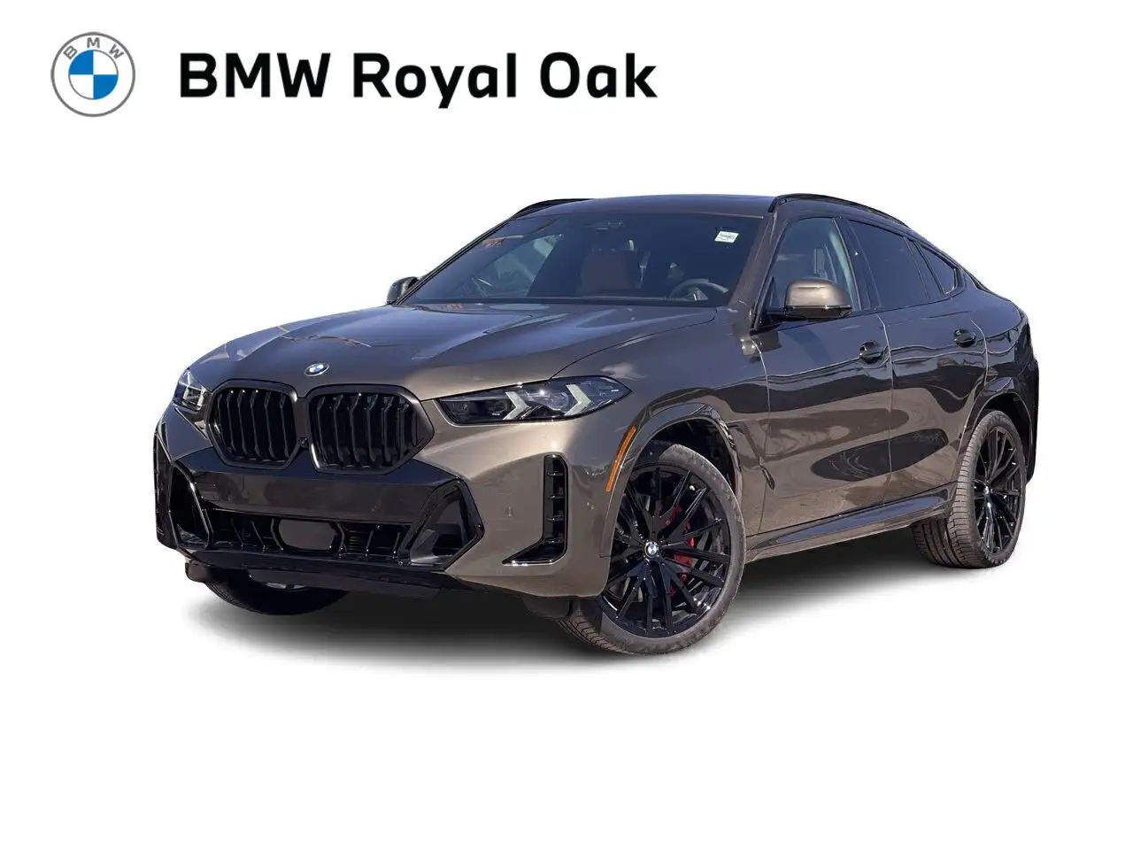 2026 BMW X6