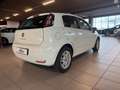 Fiat Punto Punto 1.2 8V 5 porte Lounge Weiß - thumbnail 3