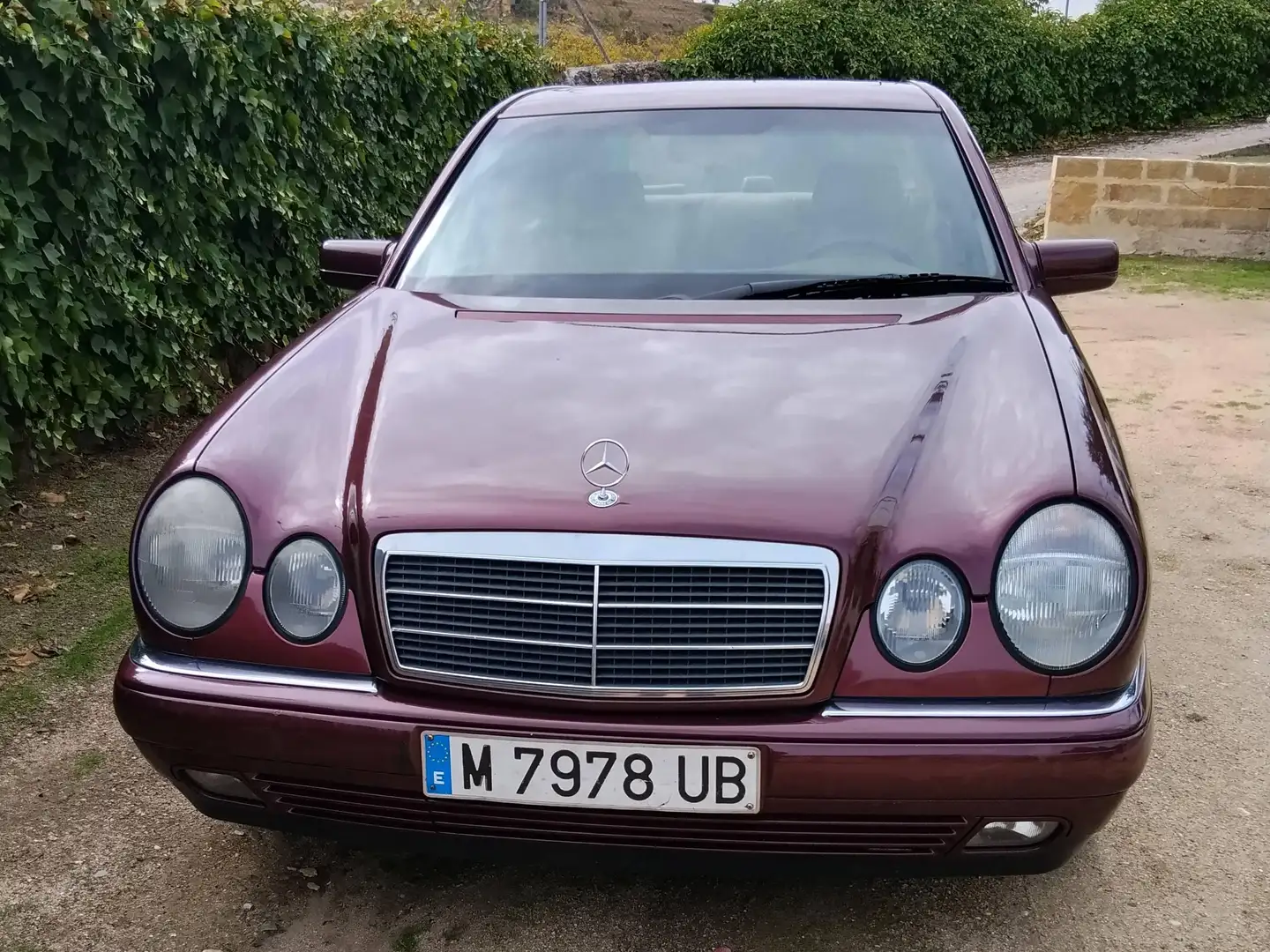 Mercedes-Benz E 320 E 320 Elegance Elegance Burdeos - 2