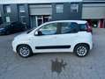 Fiat Panda Panda III 2016 1.2 Lounge easypower Gpl 69cv Bianco - thumbnail 2