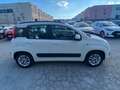 Fiat Panda Panda III 2016 1.2 Lounge easypower Gpl 69cv Bianco - thumbnail 3