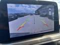 Ford Focus Traveller 1,5 EcoBlue Titanium Grau - thumbnail 19