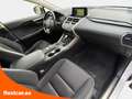 Lexus NX 300 2.5 300h Business Navigation 2WD Blanco - thumbnail 25