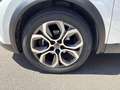 Renault Captur 1.5 BLUE DCI - INTENS 115 CV Blanco - thumbnail 6