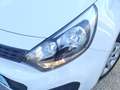 Kia Rio 1.2 CVVT 85cv Concept Blanc - thumbnail 3