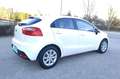Kia Rio 1.2 CVVT 85cv Concept Blanc - thumbnail 4