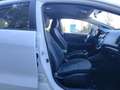 Kia Rio 1.2 CVVT 85cv Concept Blanc - thumbnail 25