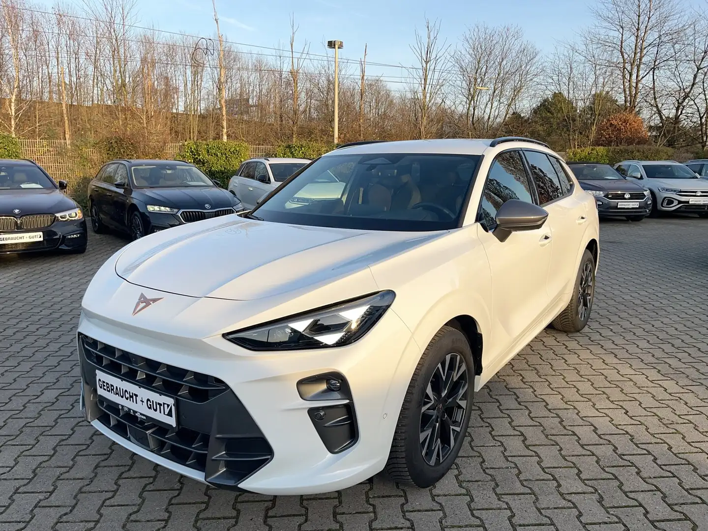 CUPRA Terramar 1.5 eTSI Matrix DCC Navi el.HK 360°Kam Weiß - 1