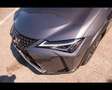 Lexus UX 250h Hybrid Luxury siva - thumbnail 35