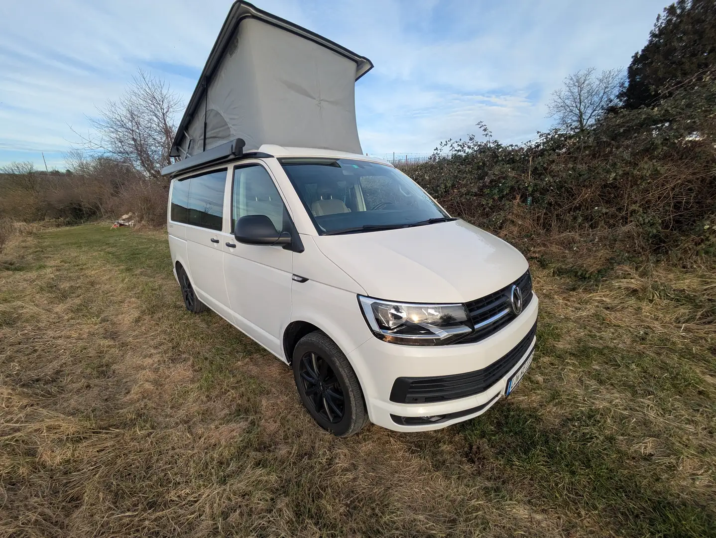 Volkswagen T6 California California Coast Wit - 2