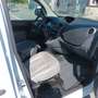 Renault Express 1.5 DCI 75 CONFORT FT Alb - thumbnail 8