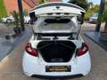 Renault Wind Night & Day Weiß - thumbnail 13