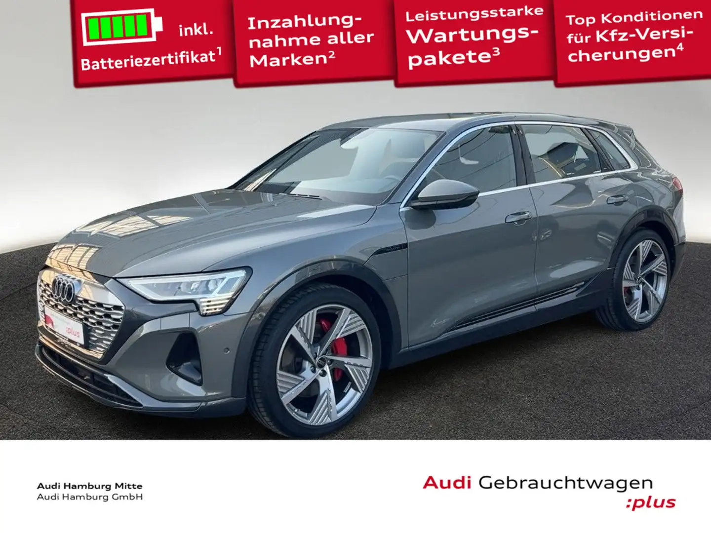 Audi Q8 e-tron Q8 50 e-tron advanced quattro 250 kW S line Matr Grau - 1