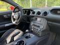 Ford Mustang 3,7 V6 Fastback Portocaliu - thumbnail 8