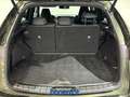 Lexus NX 200t 2.5 plug-in F-Sport 4wd e-cvt Grün - thumbnail 13