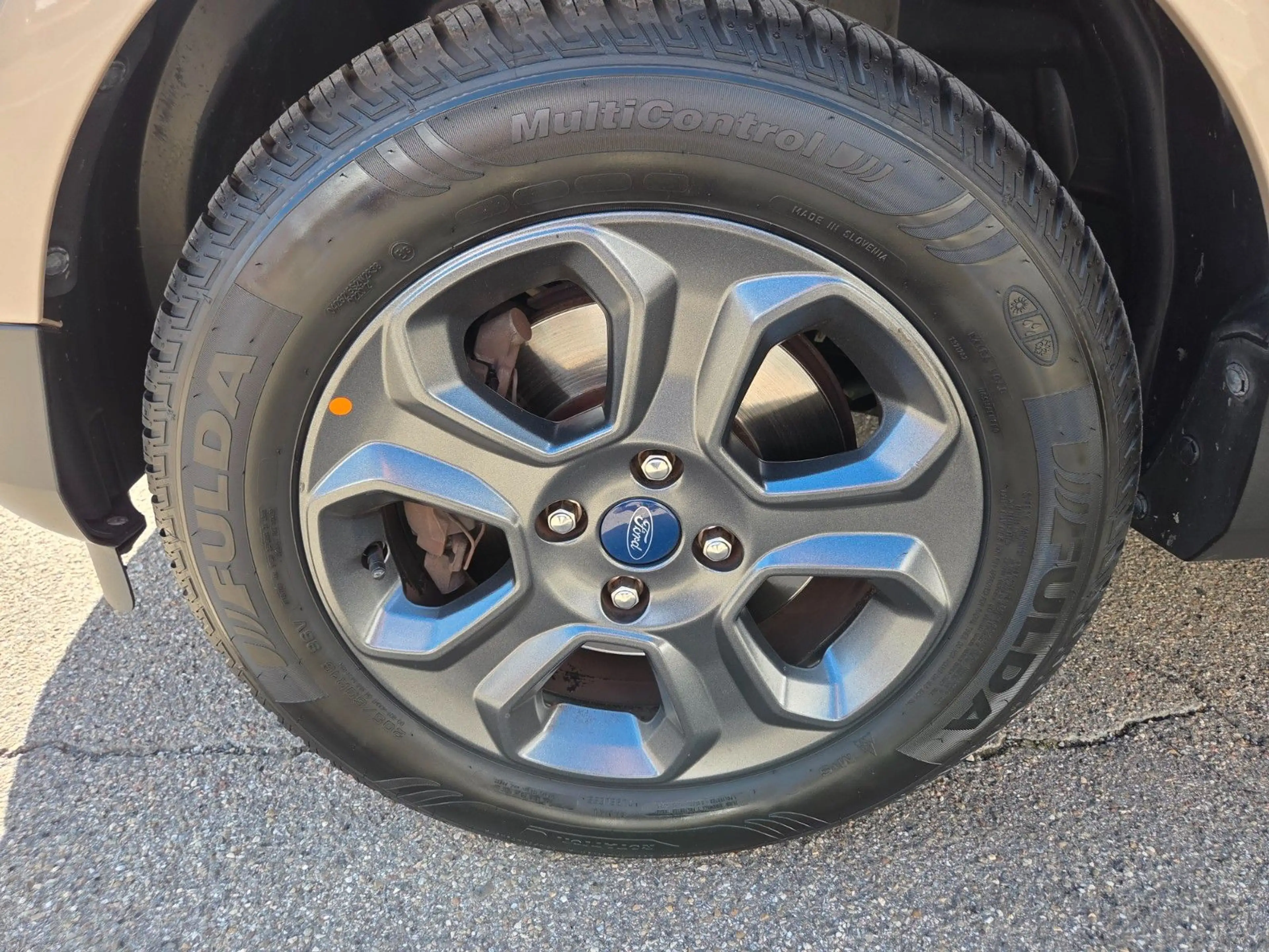 Ford EcoSport Cool & Connect — photo 6