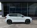CUPRA Ateca 4Drive 2.0 TSI DSG PDC Navi ACC Weiß - thumbnail 6