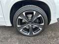 CUPRA Ateca 4Drive 2.0 TSI DSG PDC Navi ACC Weiß - thumbnail 19