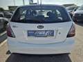 Kia Rio 1,4i Cool Weiß - thumbnail 6