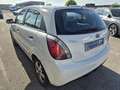 Kia Rio 1,4i Cool Weiß - thumbnail 7