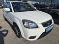 Kia Rio 1,4i Cool Weiß - thumbnail 4