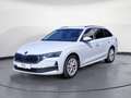Skoda Octavia Combi 1.5 SI DSG Selection MatrixLED ACC Weiß - thumbnail 2