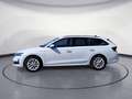 Skoda Octavia Combi 1.5 SI DSG Selection MatrixLED ACC Weiß - thumbnail 3