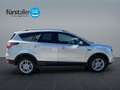 Ford Kuga Ford Kuga 2,0 TDCi Titanium Start/Stop AWD Grigio - thumbnail 3