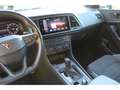 CUPRA Ateca 2.0 TSI DSG 4Drive AHK 360 KAMERA BEATS DCC GRA 19 Grau - thumbnail 13