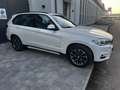 BMW X5 xdrive30d Luxury 258cv auto - thumbnail 2