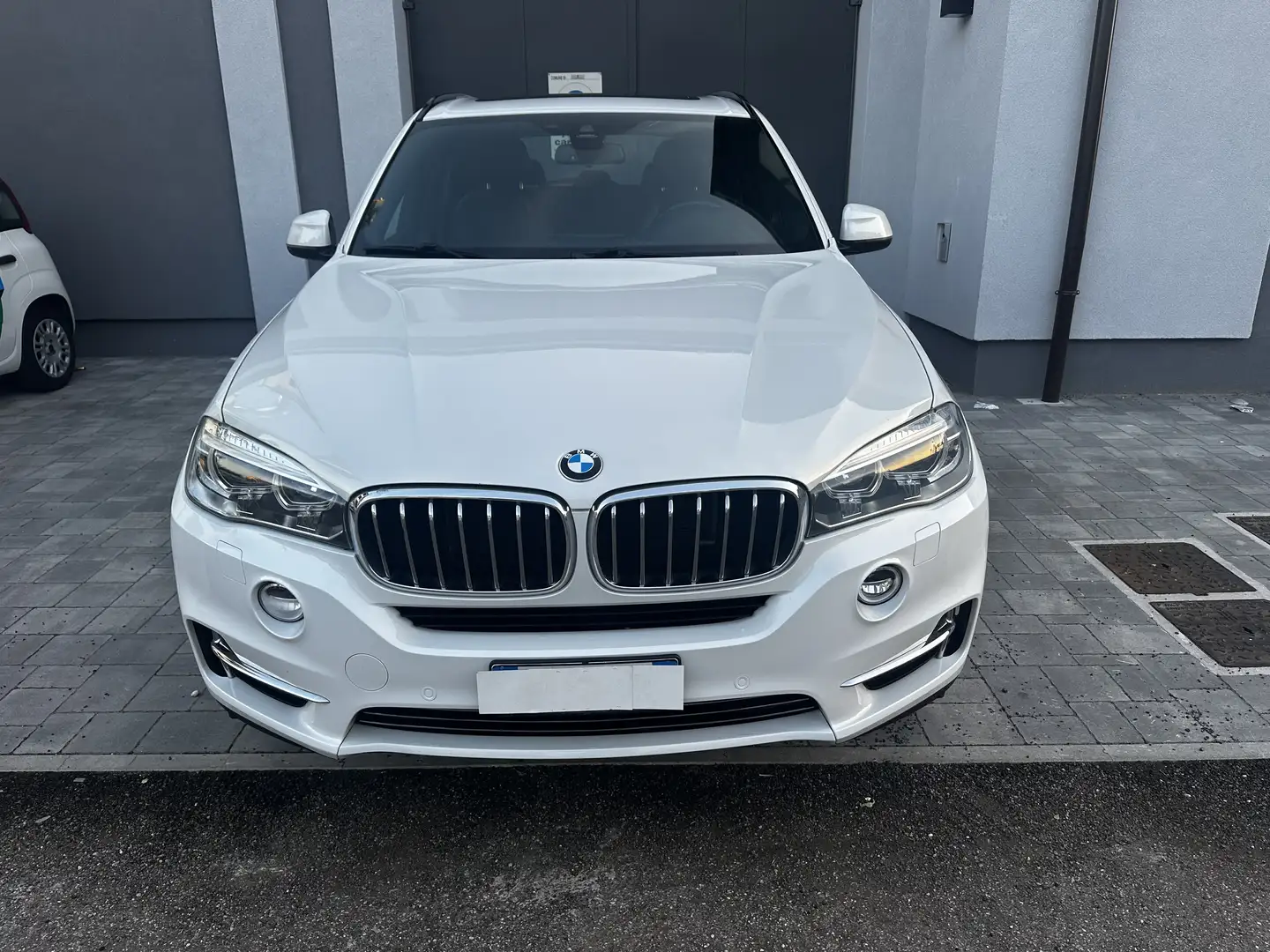 BMW X5 xdrive30d Luxury 258cv auto - 1