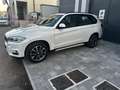 BMW X5 xdrive30d Luxury 258cv auto - thumbnail 4