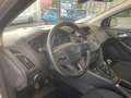 Ford Focus Focus IV 2015 5p 1.0 ecoboost Business s Silber - thumbnail 24