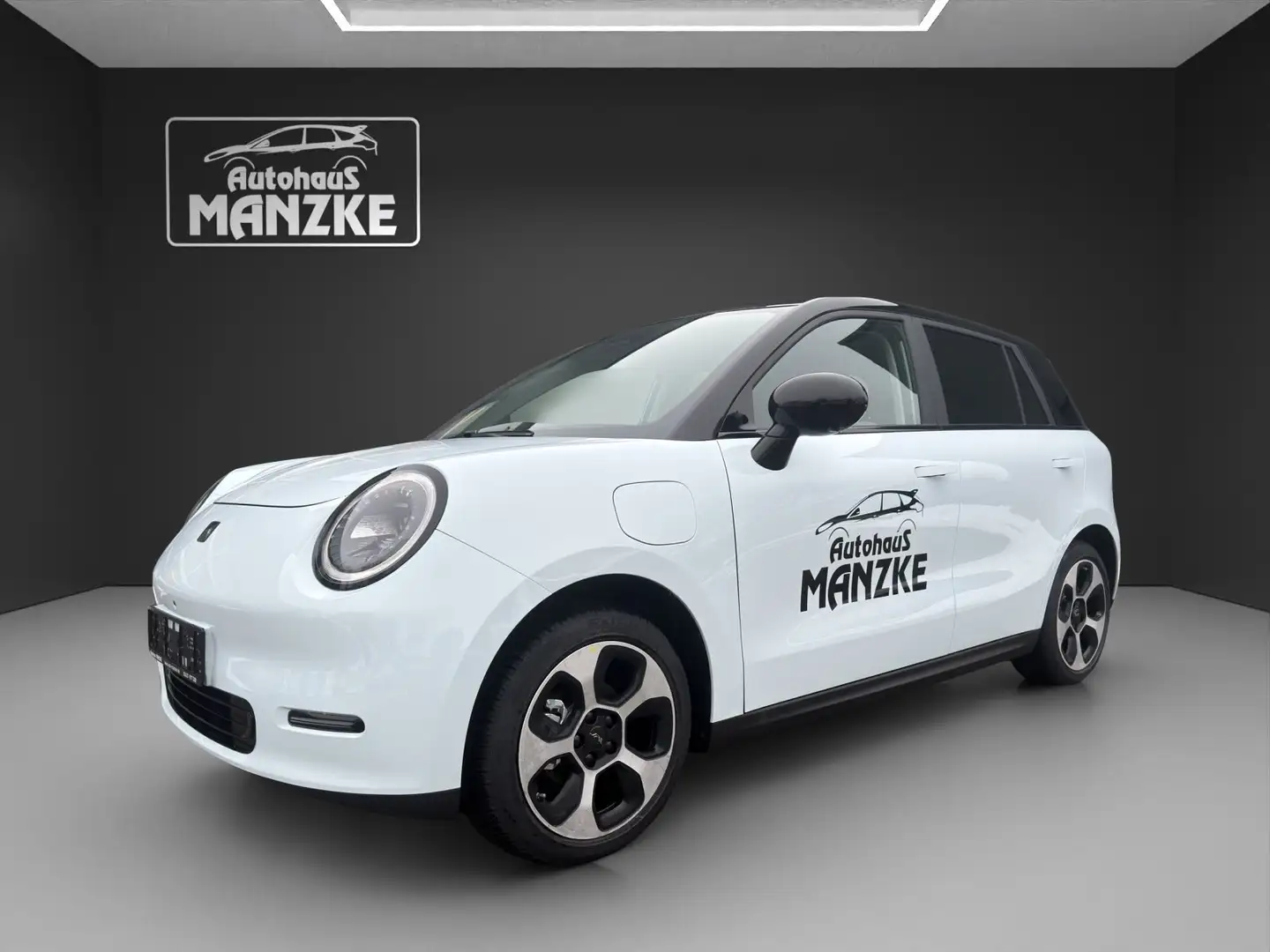 JAC Sonstige E30X Nordic Edition 50 /5 Jahre Herstellergarantie Blau - 1