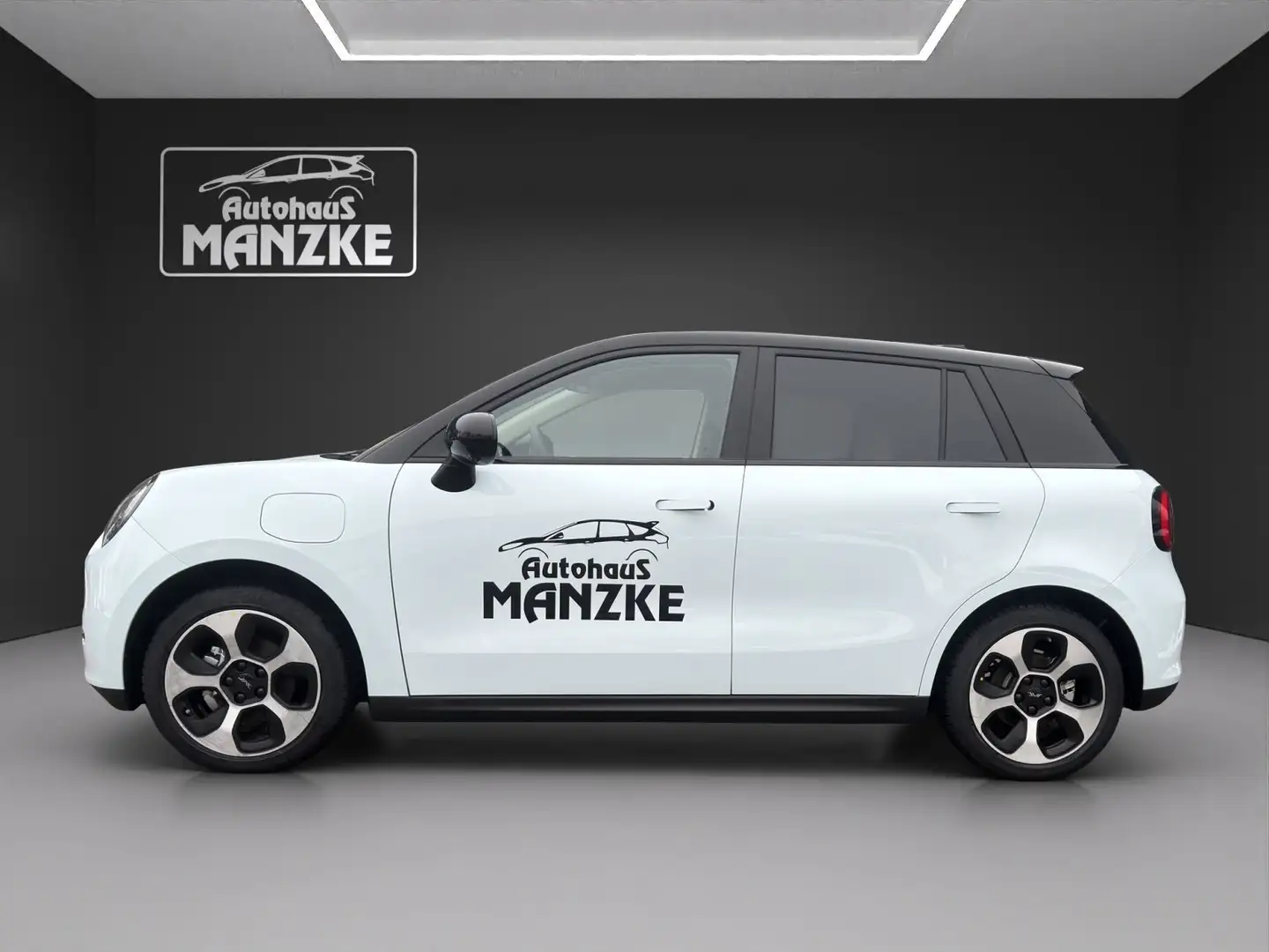 JAC Sonstige E30X Nordic Edition 50 /5 Jahre Herstellergarantie Blau - 2