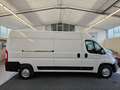 Citroen Jumper 35 L3H2 Club BlueHDi 140 Start NAVI+KAMERA+AHK Weiß - thumbnail 8