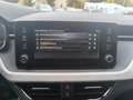 Skoda Kamiq 1.0 TSI Selection | beheizFrontsch| 5J Gar Grau - thumbnail 14