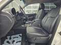 SsangYong Rexton Executive 4WD Automatik*Leder*Navi*AHK* Weiß - thumbnail 18