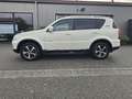 SsangYong Rexton Executive 4WD Automatik*Leder*Navi*AHK* Weiß - thumbnail 2