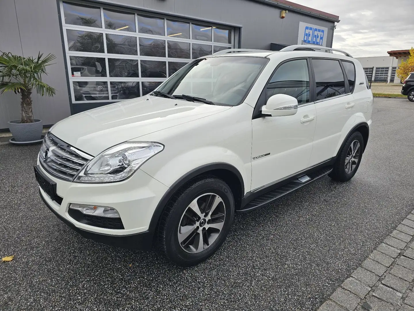 SsangYong Rexton Executive 4WD Automatik*Leder*Navi*AHK* Weiß - 1