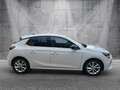 Opel Corsa F 1.5 Turbo Diesel "Elegance" aus 1-Hand Weiß - thumbnail 7