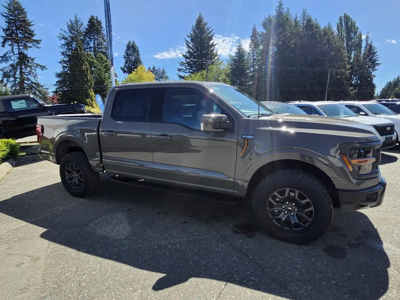 Ford F 150 fotografie Ford F 150