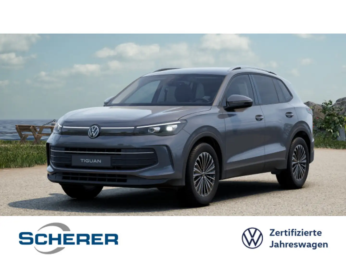 Volkswagen Tiguan LIFE 1.5 TDI DSG AHK KAMERA 18'' LED-PLUS Grau - 1
